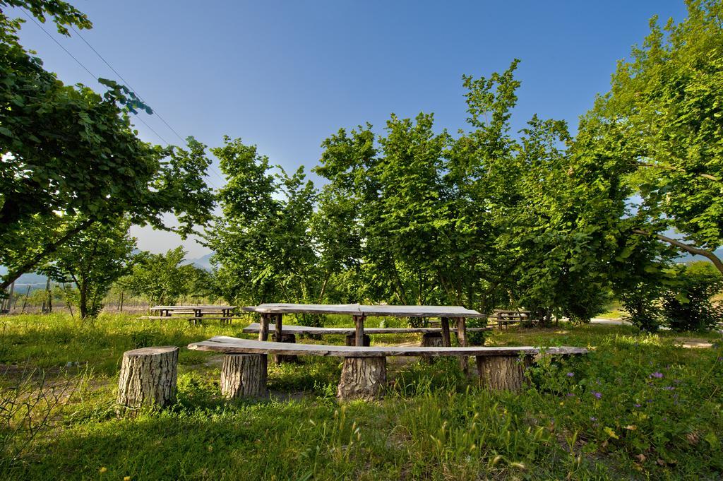 Tenuta Ippocrate Montefredane المظهر الخارجي الصورة